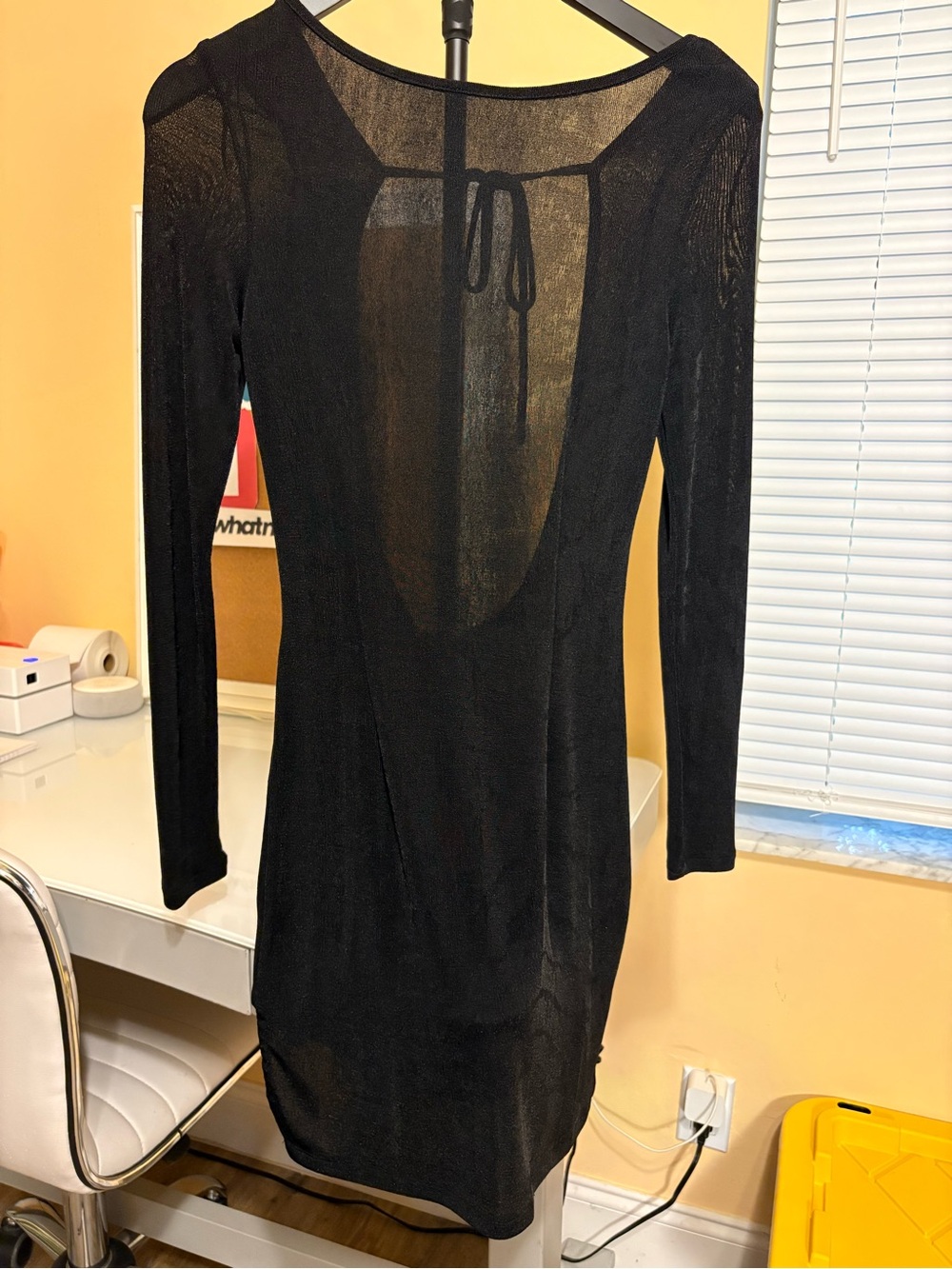 Lioness Black Long-Sleeve Sheer Back Tie Dress